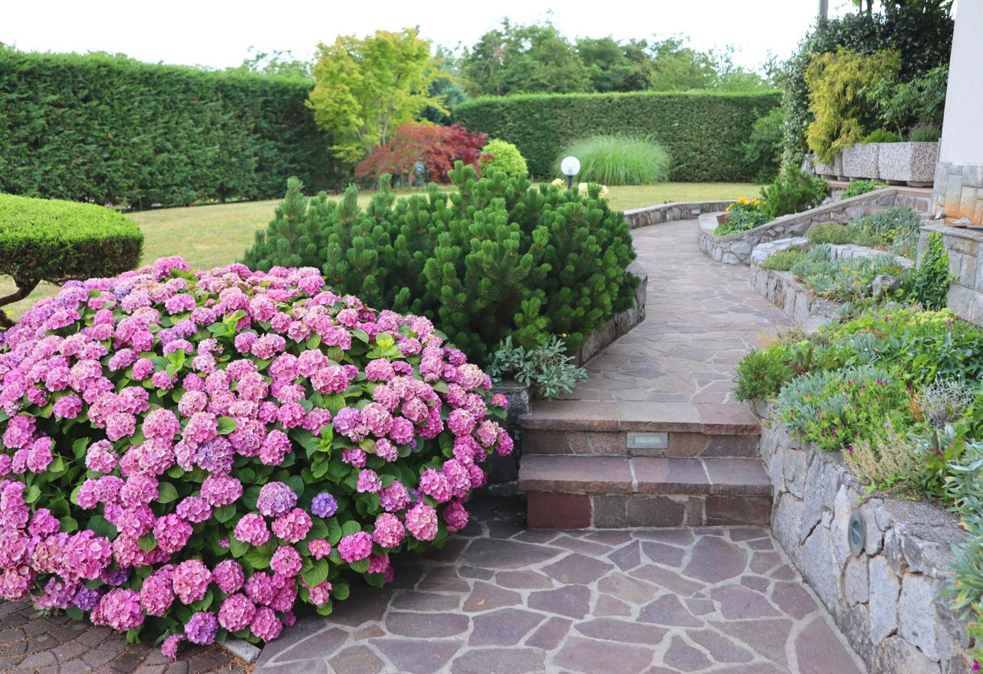 Garden Hébergement de vacances