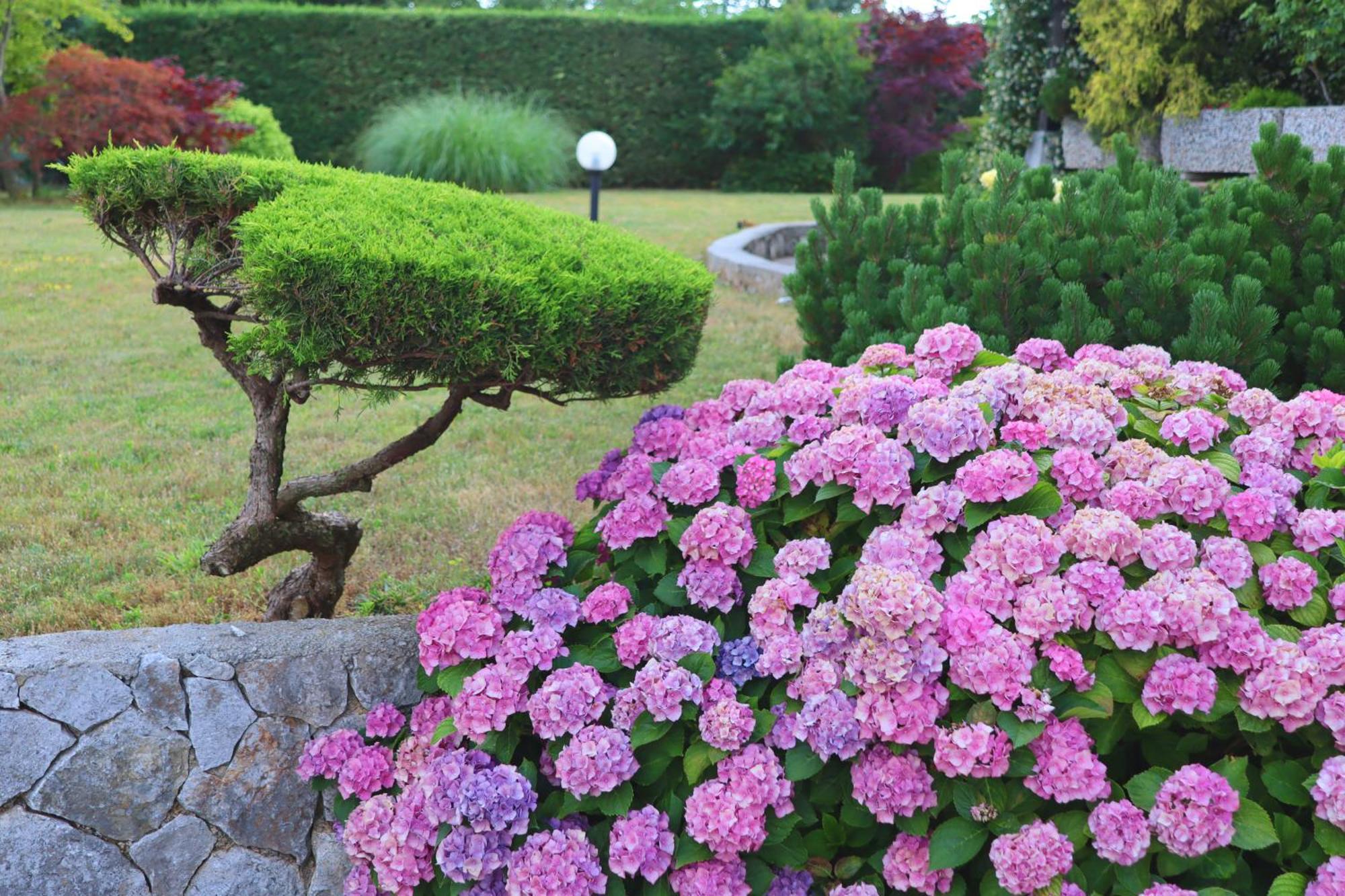 Hébergement de vacances Garden Štanjel